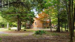 649 MADAWASKA ROAD | Hastings Highlands Ontario | Slide Image Thirty-eight