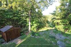 395 SAWMILL ROAD | North Kawartha Ontario | Slide Image Nineteen