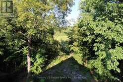 395 SAWMILL ROAD | North Kawartha Ontario | Slide Image Thirty-two