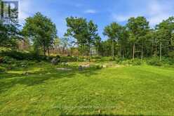 10389 41 HIGHWAY | Addington Highlands Ontario | Slide Image Thirty-two