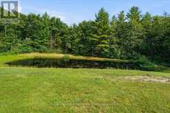 10389 41 HIGHWAY | Addington Highlands Ontario | Slide Image Thirty-five
