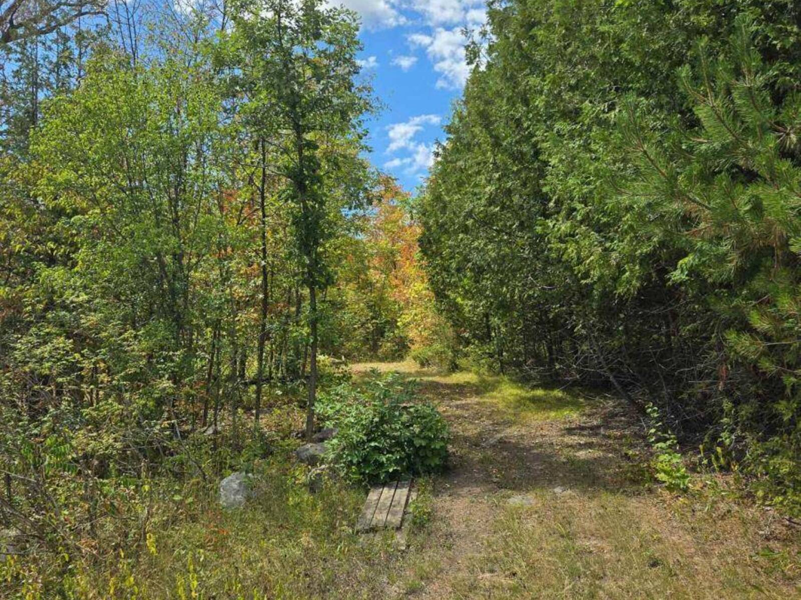 103080 HIGHWAY 7 HIGHWAY E, Marmora, Ontario K0K 2M0
