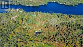 95 WOODLAND ROAD | Apsley Ontario | Slide Image Forty-eight