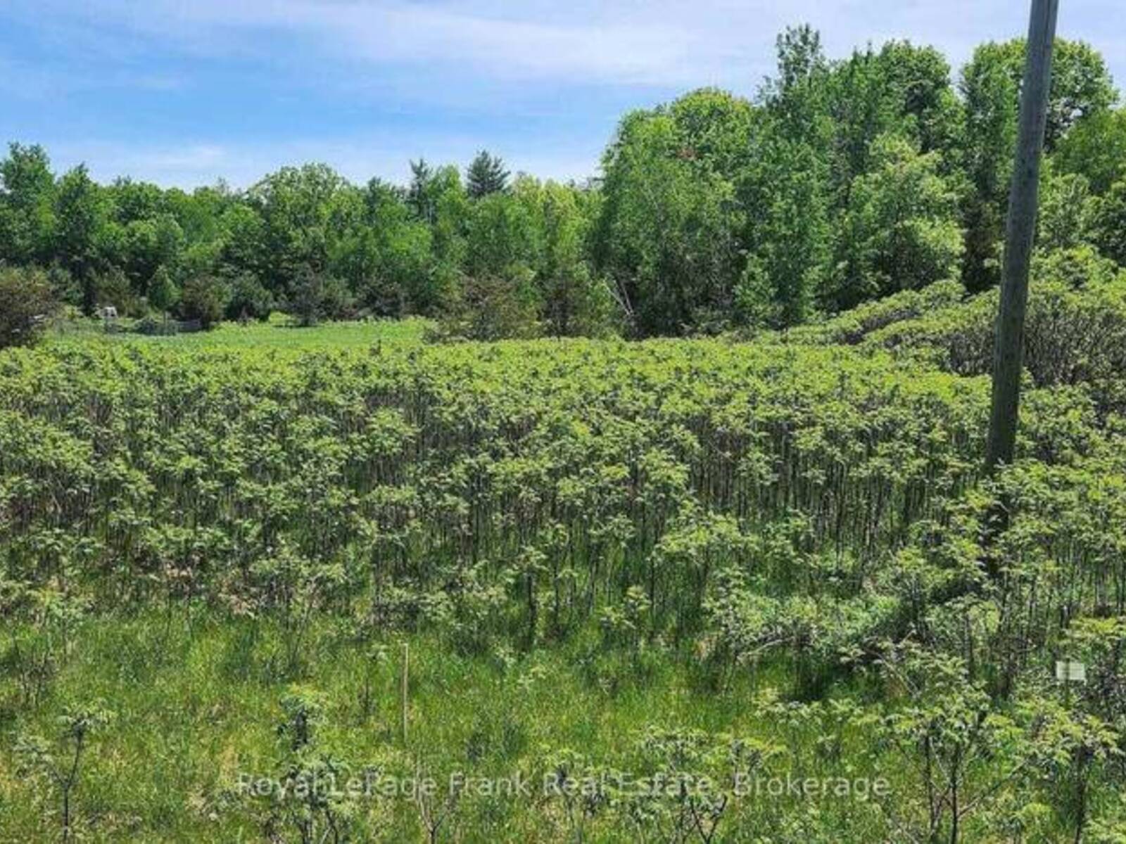 LOT 14 TRENT RIVER ROAD, Havelock-Belmont-Methuen, Ontario K0L 1Z0