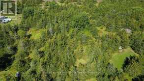 19 MILLIGAN DRIVE | Tyendinaga Ontario | Slide Image Forty-seven