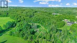 2917 HIGHWAY 28 | North Kawartha Ontario | Slide Image Thirty-five