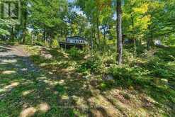 1239 CHIMNEY POINT LANE | Arden Ontario | Slide Image Thirty-nine