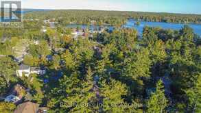 12 ADAM AND EVE ROAD | North Kawartha Ontario | Slide Image Two
