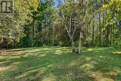 3795 HIGHWAY 28 | North Kawartha Ontario | Slide Image Twenty-seven