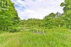 369 5TH CONCESSION RD S ROAD | Tweed Ontario | Slide Image Twenty-eight