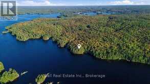 616 WESLEMKOON LAKE, WEST BAY- WAO ROAD | Carlow-Mayo Ontario | Slide Image Fifteen