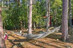 616 WESLEMKOON LAKE, WEST BAY- WAO ROAD | Carlow-Mayo Ontario | Slide Image Sixteen