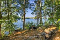 616 WESLEMKOON LAKE, WEST BAY- WAO ROAD | Carlow-Mayo Ontario | Slide Image Thirty-eight