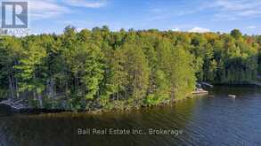 616 WESLEMKOON LAKE, WEST BAY- WAO ROAD | Carlow-Mayo Ontario | Slide Image Forty-three