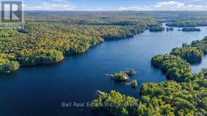 616 WESLEMKOON LAKE, WEST BAY- WAO ROAD | Carlow-Mayo Ontario | Slide Image Forty-seven