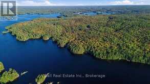 616 WESLEMKOON LAKE, WEST BAY- WAO ROAD | Carlow-Mayo Ontario | Slide Image Forty-eight