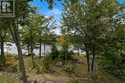 15 SPUR 2 | North Kawartha Ontario | Slide Image Twelve