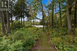 15 SPUR 2 | North Kawartha Ontario | Slide Image Forty-eight