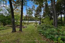 15 SPUR 2 | North Kawartha Ontario | Slide Image Forty-nine