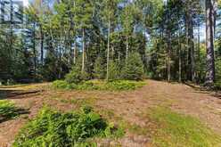18 SWAN LANE | Madawaska Valley Ontario | Slide Image Thirty-three