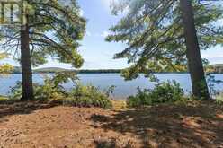 18 SWAN LANE | Madawaska Valley Ontario | Slide Image Thirty-six