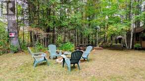 N/A COON LAKE ROAD | Apsley Ontario | Slide Image Ten