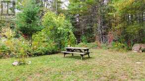 N/A COON LAKE ROAD | Apsley Ontario | Slide Image Eleven