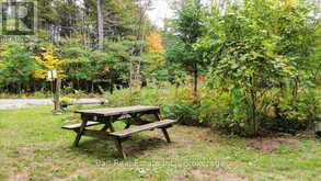 N/A COON LAKE ROAD | Apsley Ontario | Slide Image Twelve