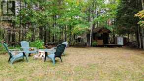 N/A COON LAKE ROAD | Apsley Ontario | Slide Image Fifteen