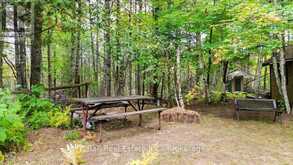 N/A COON LAKE ROAD | Apsley Ontario | Slide Image Nineteen