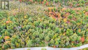 N/A COON LAKE ROAD | Apsley Ontario | Slide Image Thirty