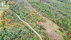 N/A COON LAKE ROAD | Apsley Ontario | Slide Image Thirty-three