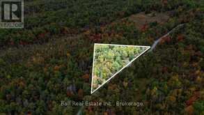 N/A COON LAKE ROAD | Apsley Ontario | Slide Image Thirty-four