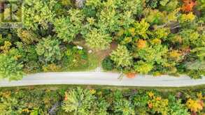 N/A COON LAKE ROAD | Apsley Ontario | Slide Image Thirty-six