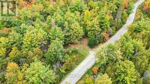 N/A COON LAKE ROAD | Apsley Ontario | Slide Image Thirty-eight