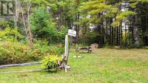 N/A COON LAKE ROAD | Apsley Ontario | Slide Image Forty