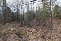 LOT 15 CONCESSION 9 | North Kawartha Ontario | Slide Image Ten
