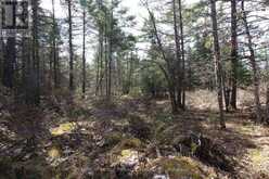 LOT 15 CONCESSION 9 | North Kawartha Ontario | Slide Image Thirteen