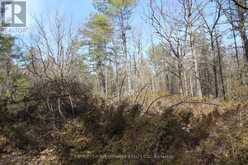 LOT 15 CONCESSION 9 | North Kawartha Ontario | Slide Image Sixteen