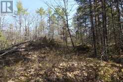 LOT 15 CONCESSION 9 | North Kawartha Ontario | Slide Image Three