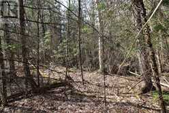 LOT 15 CONCESSION 9 | North Kawartha Ontario | Slide Image Four