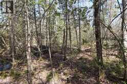 LOT 15 CONCESSION 9 | North Kawartha Ontario | Slide Image Five