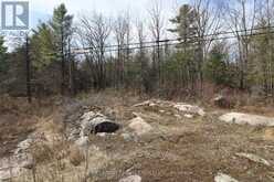 LOT 15 CONCESSION 9 | North Kawartha Ontario | Slide Image Six