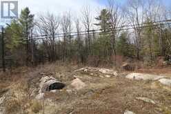 LOT 15 CONCESSION 9 | North Kawartha Ontario | Slide Image Seven
