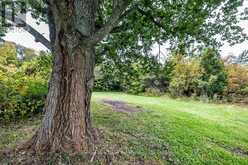 4045 HIGHWAY 2 | Clarington Ontario | Slide Image Thirty
