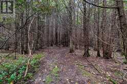 4045 HIGHWAY 2 | Clarington Ontario | Slide Image Thirty-four