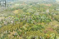 4045 HIGHWAY 2 | Clarington Ontario | Slide Image Thirty-five