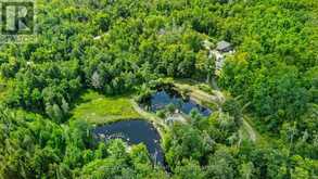 79 OAKRIDGE ROAD | Bobcaygeon Ontario | Slide Image Forty-eight