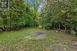 1249 BIRCHVIEW ROAD | North Kawartha Ontario | Slide Image Nine
