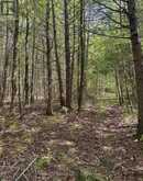 371 A WELLMANS ROAD | Stirling-Rawdon Ontario | Slide Image Nine